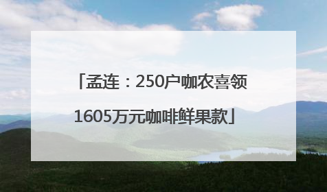 孟连：250户咖农喜领1605万元咖啡鲜果款